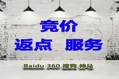 百度企业级服务推广的全面解决方案
